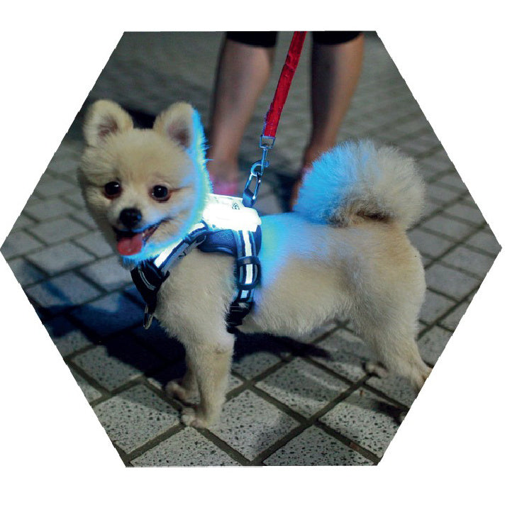 Teddy Pack Light Up Harness