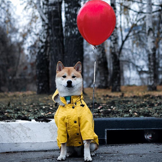 Fisherman Fred Dog RainCoat
