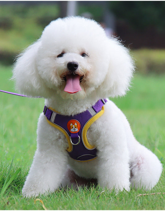 Soft Mesh Chest Strap Harness Set