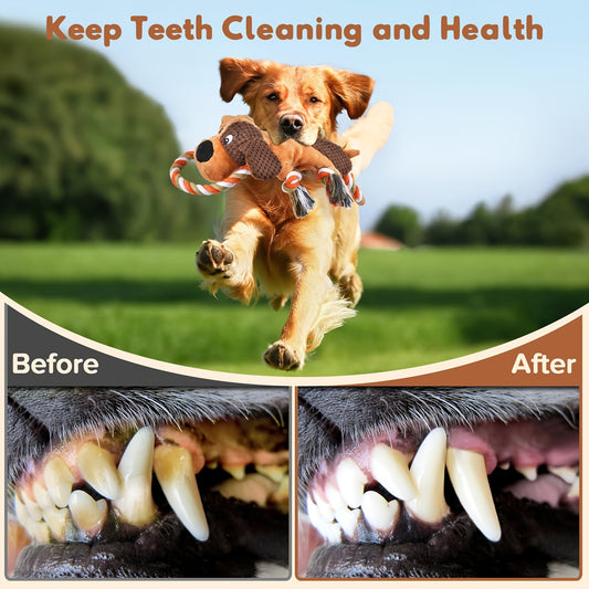 Multi Fun Plush Rope Toy