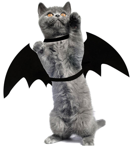 Halloween Costume Pet Bat and Spider