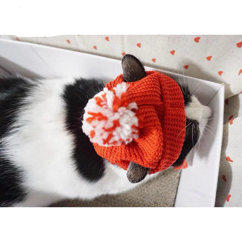 Red Festive Cat Beanie