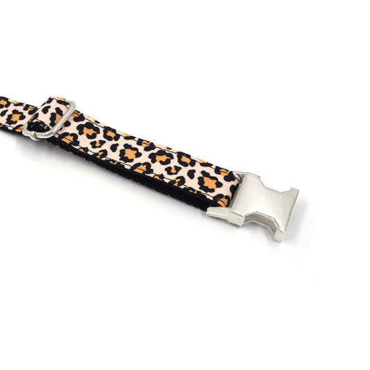Cheetah Printed Cool Cat Dog Collar