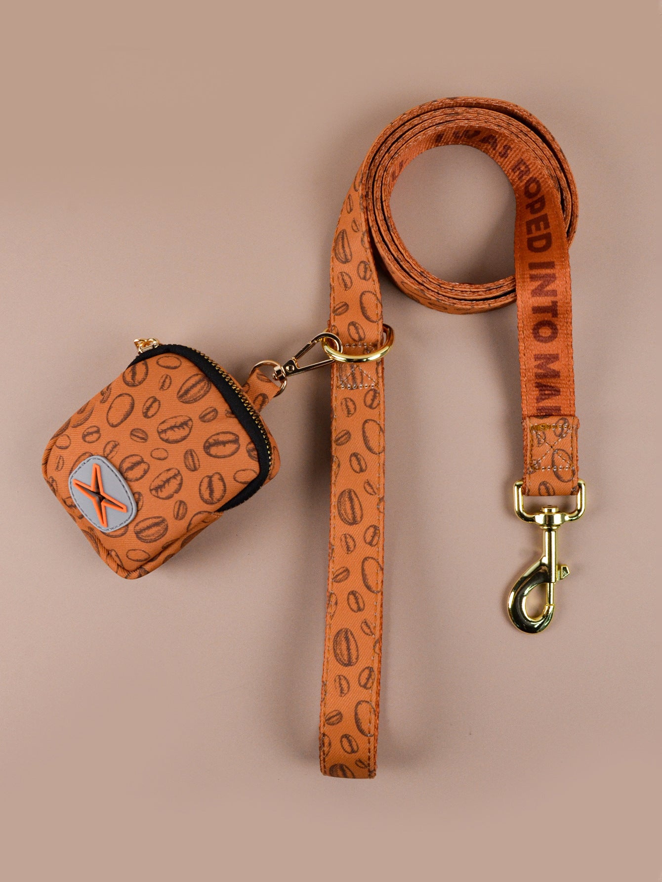 Cute Poop 💩 Bag, Leash & Collar set