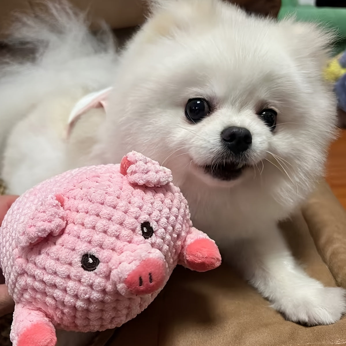 Squeaky Pink Pig