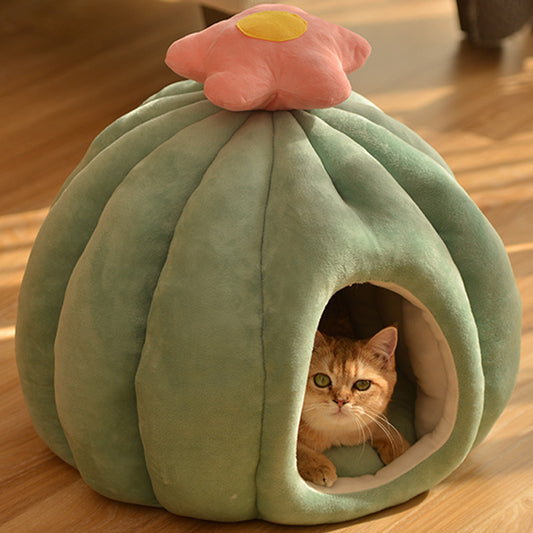 Cactus Cat Cave & Bed