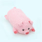 Squeaky Pink Pig