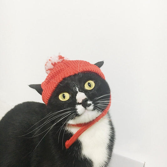 Red Festive Cat Beanie