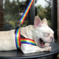 Rainbow dog leash and harness