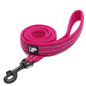 Bright Colours Thick Leash