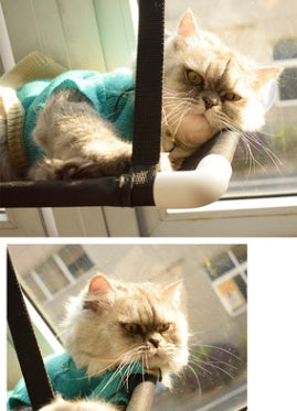 Cat Window Hammock