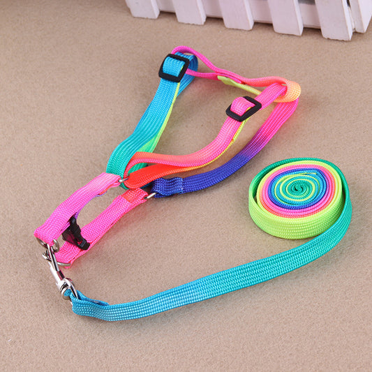 Rainbow Leash and Chest Strap