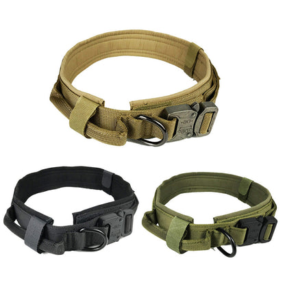 Dog collar Army