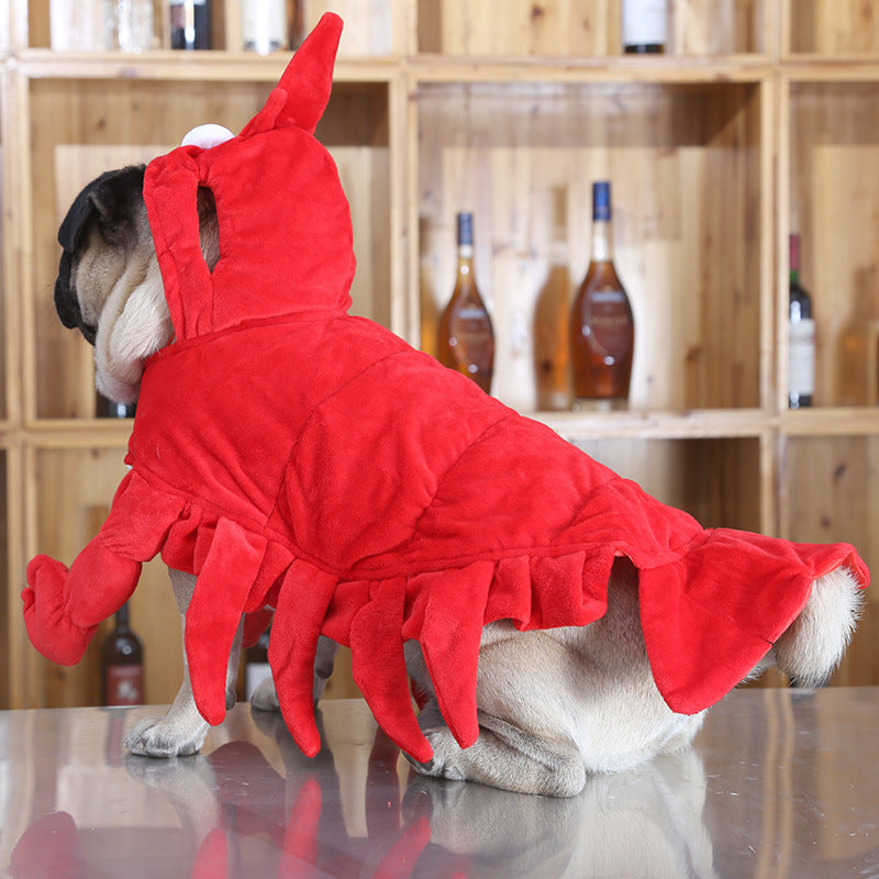 Lobster Pet Costume 🦞