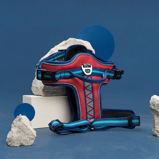 Dog Harness Adventure Gear