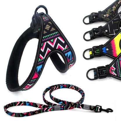 Colorful Dog Leash Set