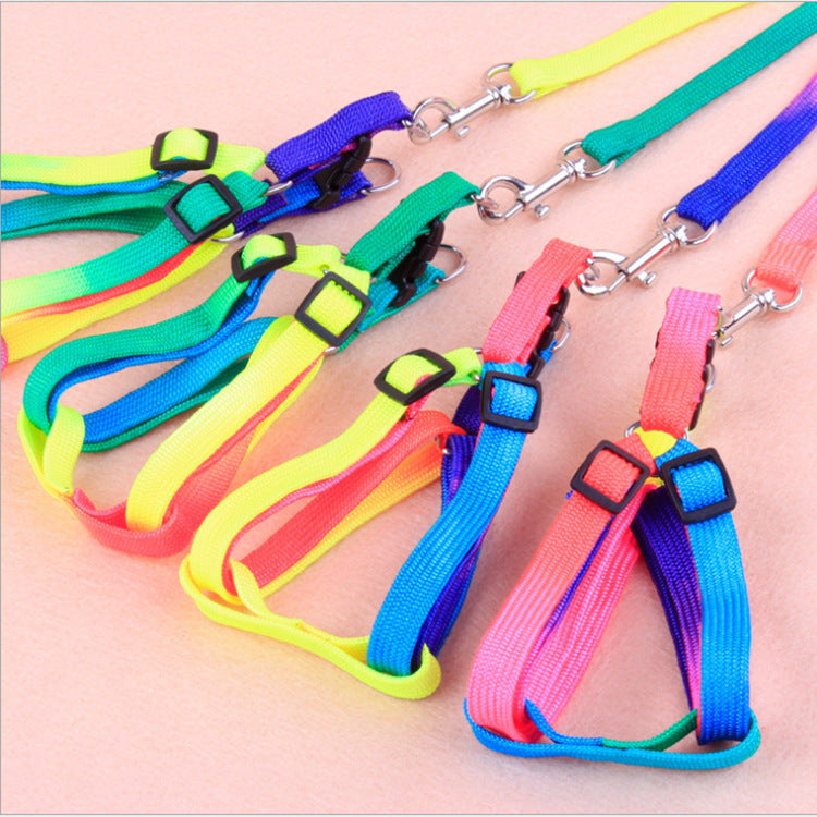 Rainbow Leash and Chest Strap