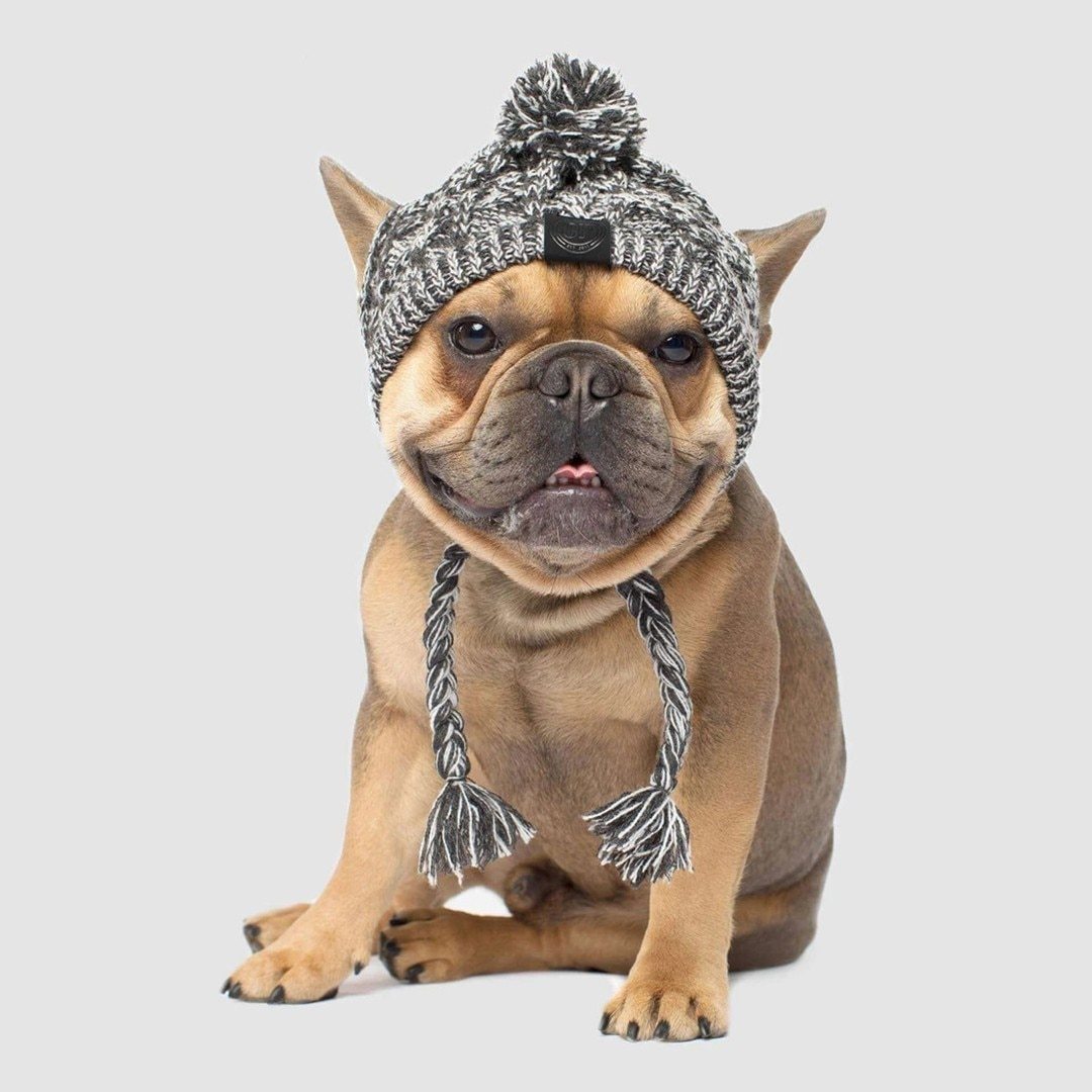 Pom Pom Winter Dog Toque