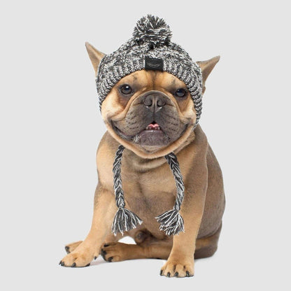 Pom Pom Winter Dog Toque