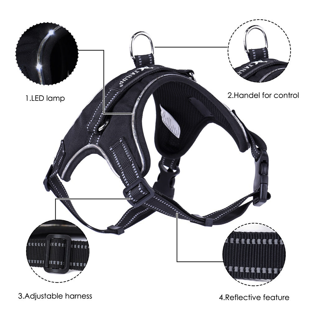 LED & Reflective Harness