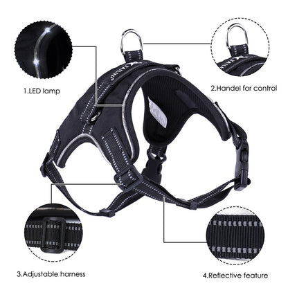 LED & Reflective Harness