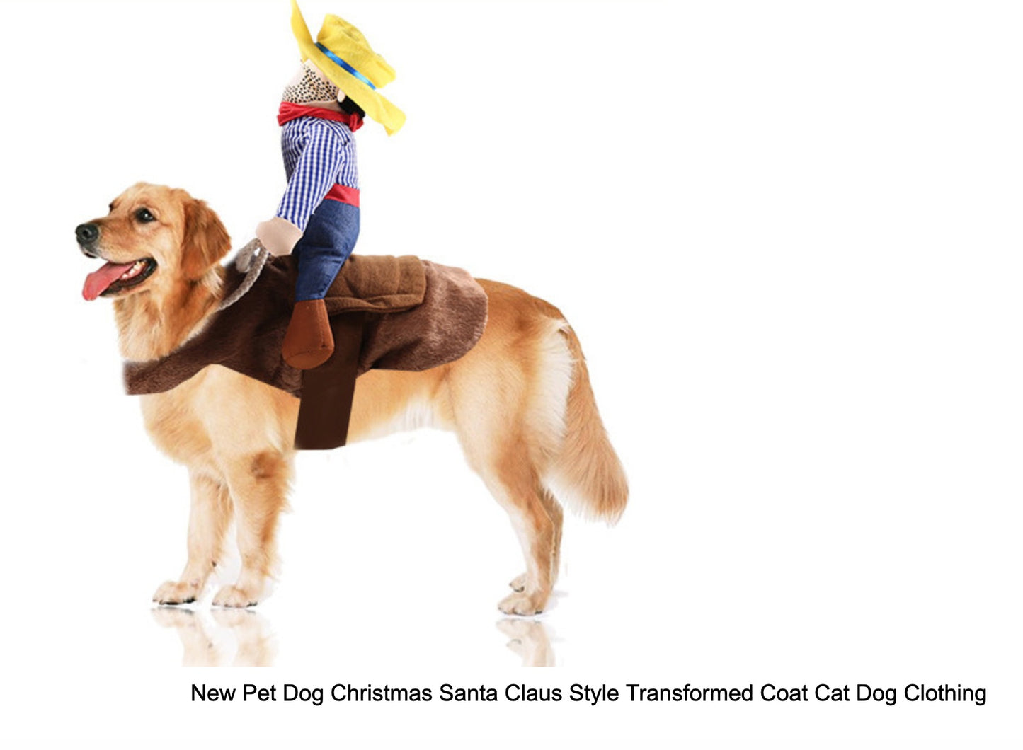 Cowboy Rider Pet Costume
