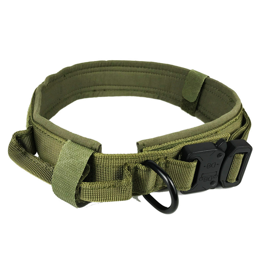Dog collar Army