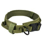 Dog collar Army