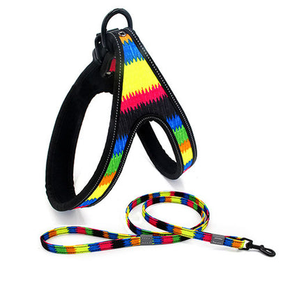 Colorful Dog Leash Set