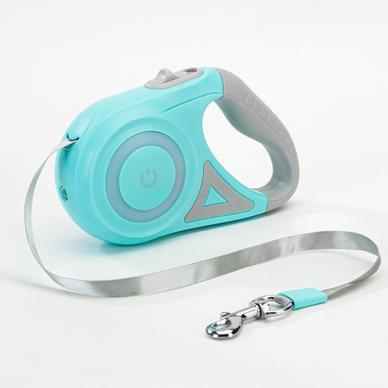 Retractable Leash And Dog Collar Spotlight traction