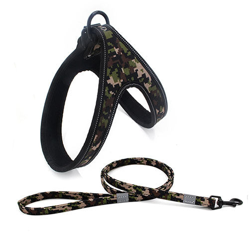 Colorful Dog Leash Set