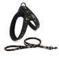 Colorful Dog Leash Set