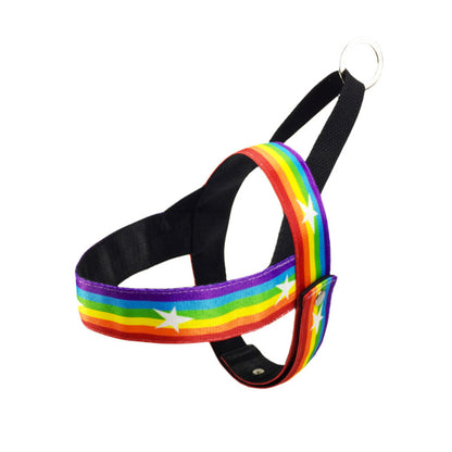 Rainbow dog leash and harness
