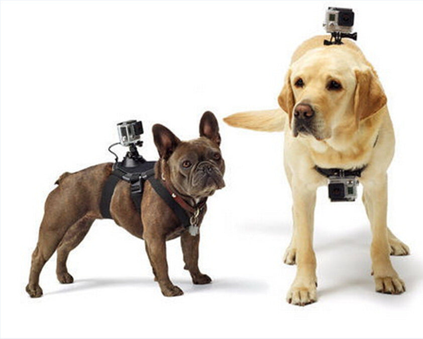 GoPro Harness