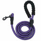 Reflective Nylon Braided Traction Rope Dog