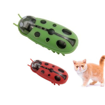 Mini Electric Ladybug Cat Toy