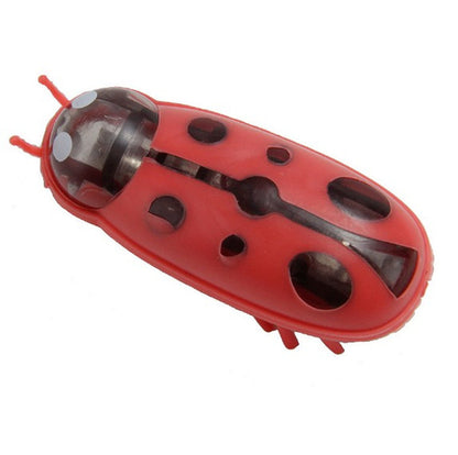 Mini Electric Ladybug Cat Toy