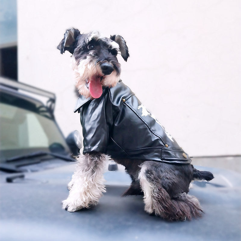 Mini Rocker Skater Pet Jacket