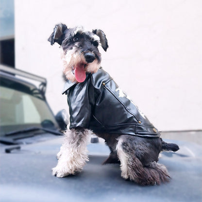 Mini Rocker Skater Pet Jacket