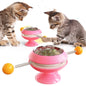 Rotatable Catnip Interactive Training toy