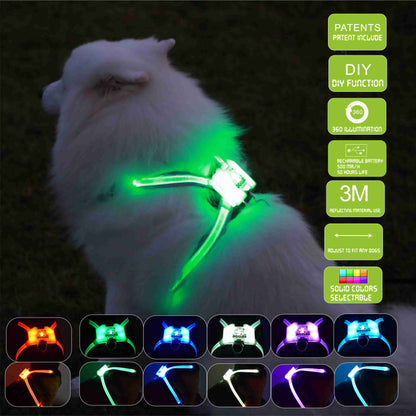 Teddy Pack Light Up Harness
