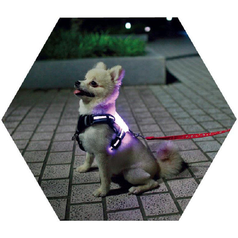 Teddy Pack Light Up Harness