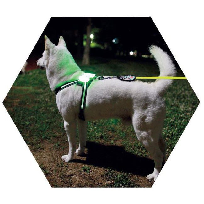 Teddy Pack Light Up Harness