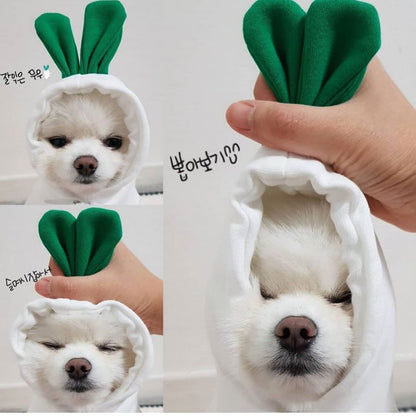 Cute Pet Hoodies & Costumes