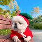 Cute Pet Hoodies & Costumes