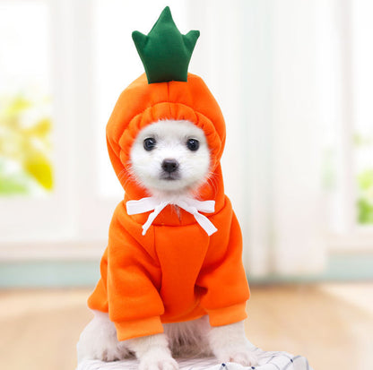 Cute Pet Hoodies & Costumes