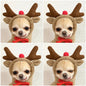 Cute Pet Hoodies & Costumes