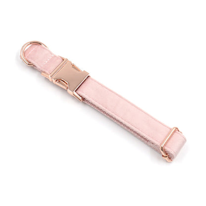 Velvet Rose Gold Pet Collar & Leash