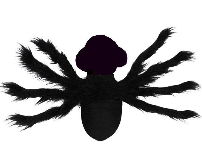 Halloween Costume Pet Bat and Spider