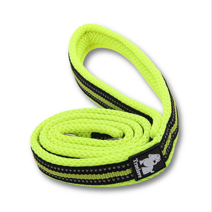 Bright Colours Thick Leash
